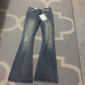 Cello High waist flare